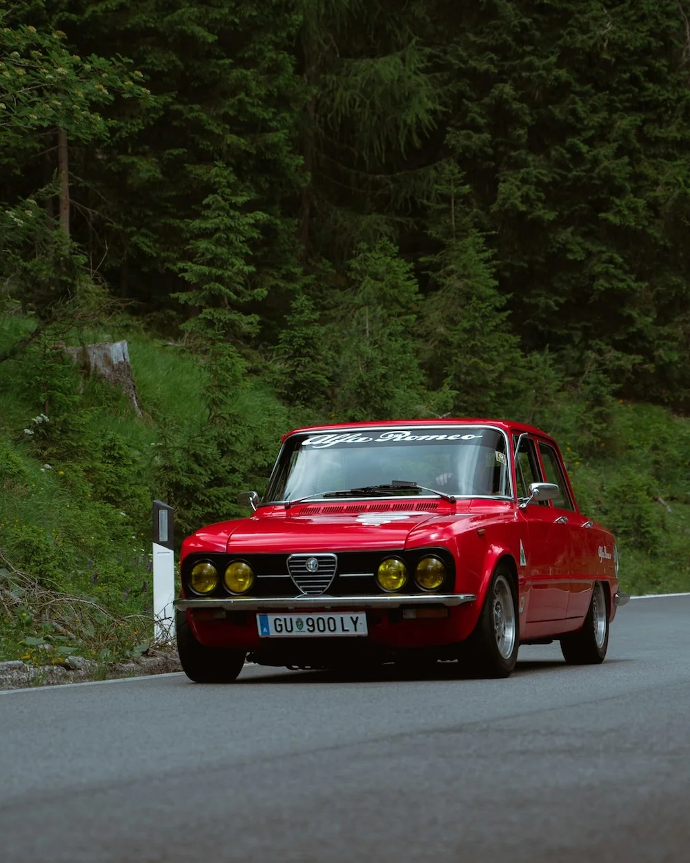 TransApuseana_Rally-Alfa-Romeo